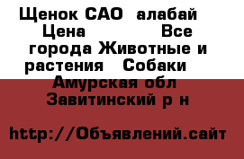 Щенок САО (алабай) › Цена ­ 10 000 - Все города Животные и растения » Собаки   . Амурская обл.,Завитинский р-н